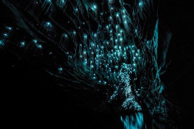 Waitomo Glowworm Caves and Auckland City Tour a Day Trip - Booking Information