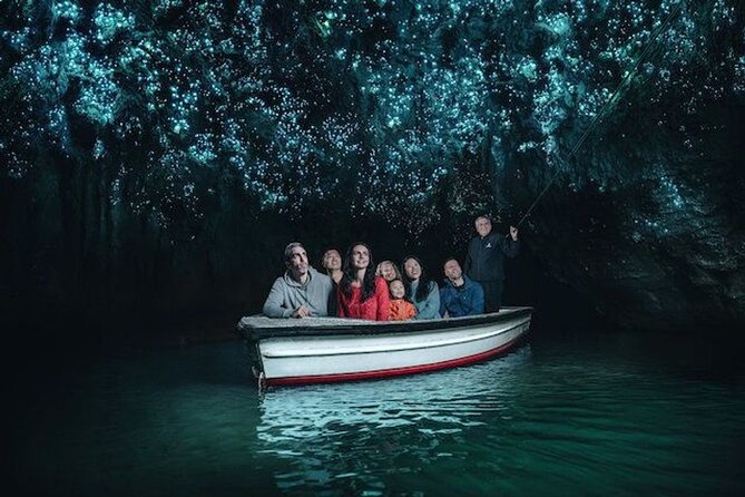 Waitomo Glowworm Caves and Auckland City Tour a Day Trip - Customer Reviews and Testimonials