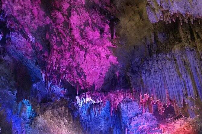 Waitomo Glowworm Caves and Hamilton Gardens Tour - Good To Know