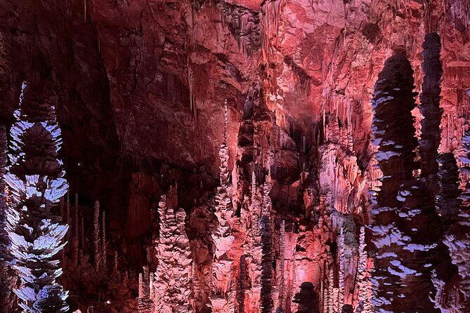 Waitomo Glowworm Caves and Hamilton Gardens Tour - Exploring the Waitomo Glowworm Caves