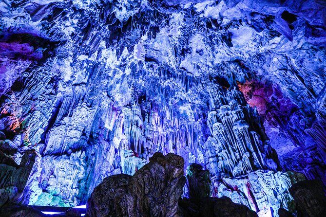 Waitomo Glowworm Caves and Hamilton Gardens Tour - The Art of Hamilton Gardens