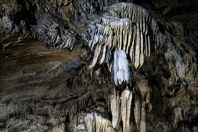 Waitomo Glowworm Caves and Hamilton Gardens Tour - Final Thoughts