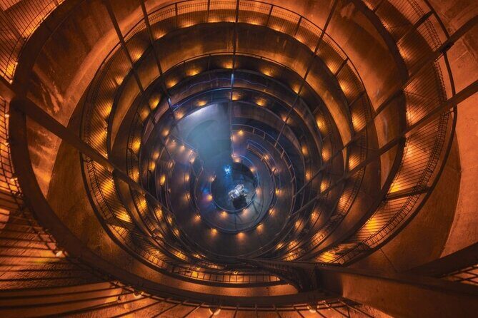 Waitomo Glowworm Caves and Kiwi House Small Group from Auckland - Introducing the Waitomo Glowworm Caves and Kiwi House Small Group Tour