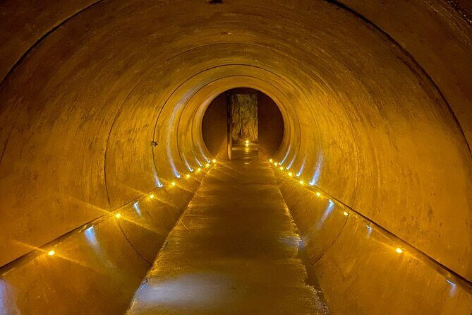 Waitomo Glowworm Caves and Kiwi House Small Group from Auckland - Good To Know
