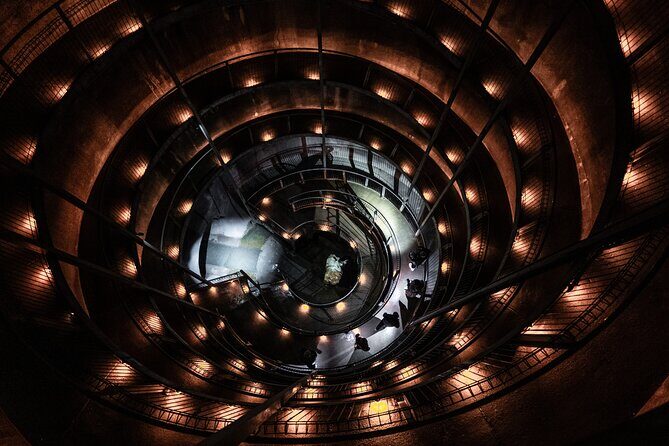 Waitomo Glowworm Caves and Kiwi House Small Group from Auckland - Who Should Consider This Tour?