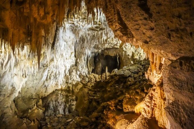 Waitomo: Glowworm Caves Guided Tour by Boat - Similar Activities