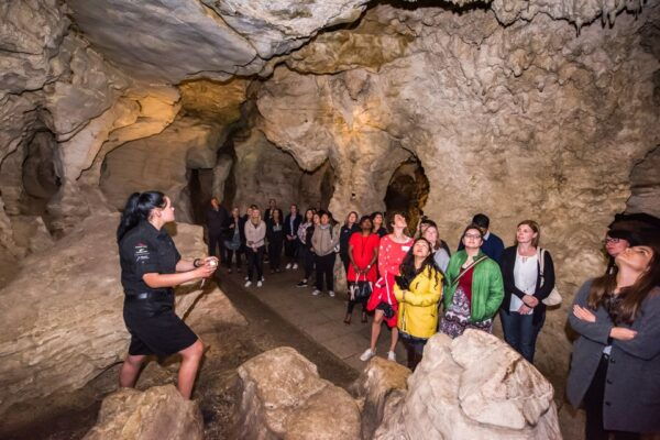 Waitomo: Glowworm Caves Guided Tour by Boat - The Sum Up