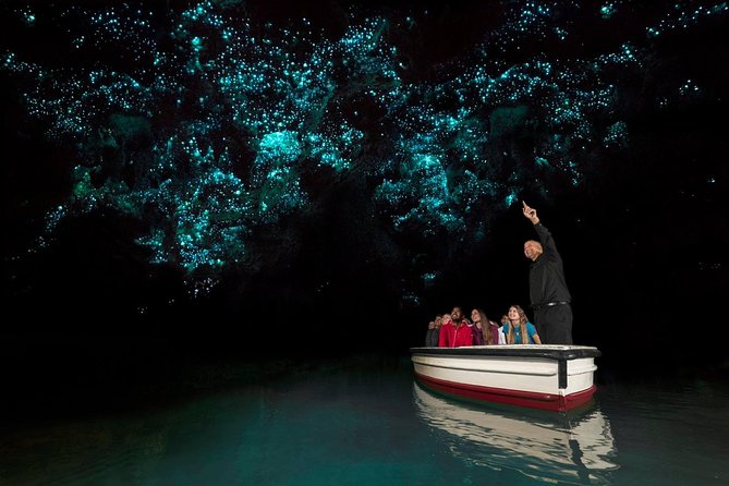 Waitomo Glowworm Caves Guided Tour - Overview of Waitomo Glowworm Caves