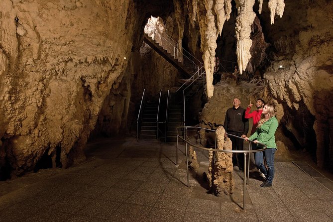 Waitomo Glowworm Caves Guided Tour - Glowworms in the Caves