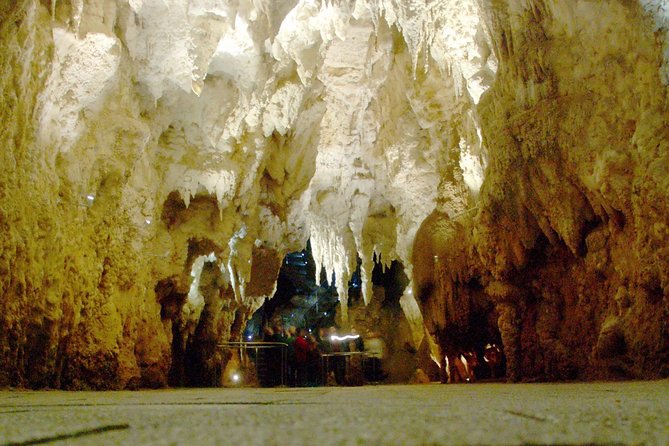 Waitomo Glowworm Caves in a Small Group Tour From Auckland - Airport Transfers