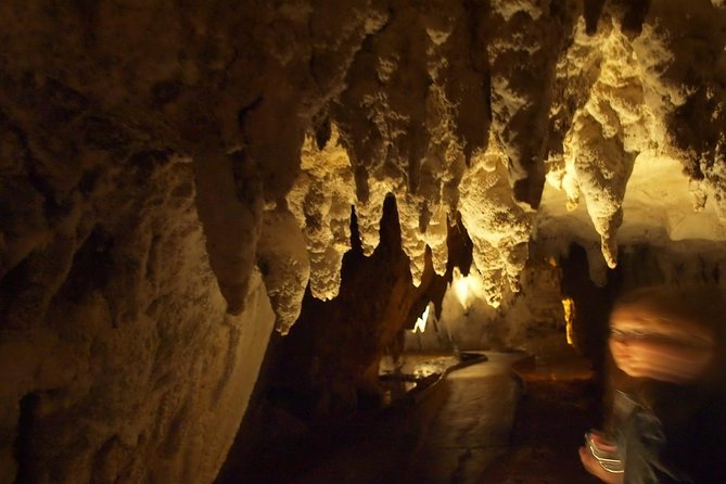 Waitomo Glowworm Caves in a Small Group Tour From Auckland - Reviews and Ratings