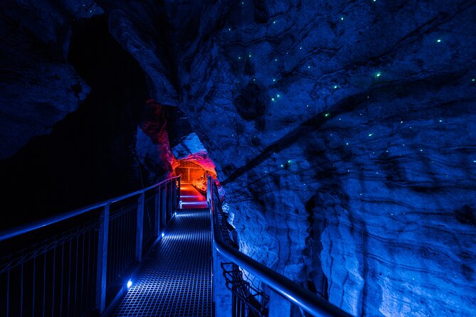 Waitomo Glowworm & Ruakuri Twin Cave - Private Tour From Auckland - Tour Overview and Experience