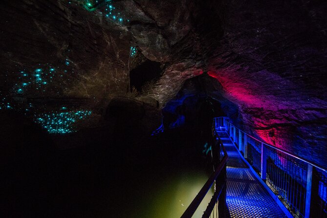 Waitomo Glowworm & Ruakuri Twin Cave - Private Tour From Auckland - The Sum Up
