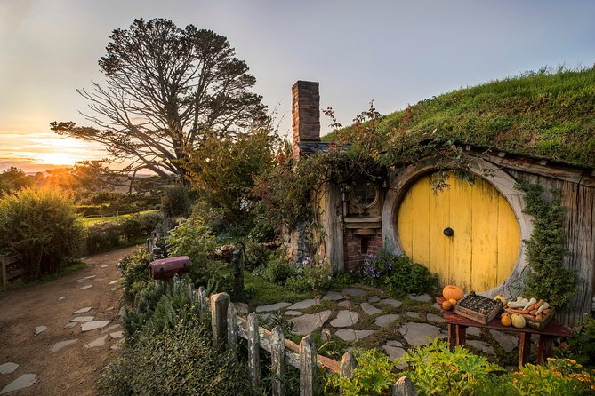 Waitomo & Hobbiton Guided Tour Departing Auckland - Tour Overview and Itinerary
