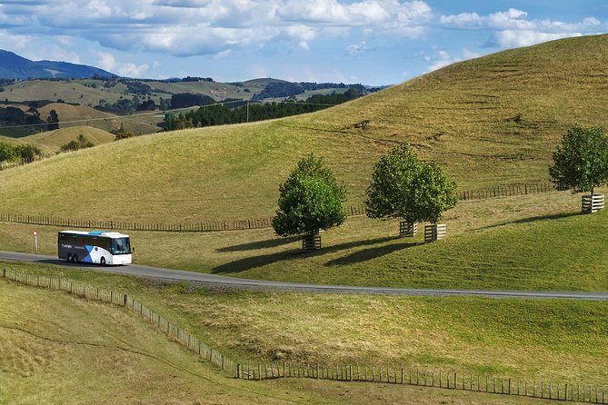 Waitomo & Hobbiton Guided Tour Departing Auckland - Hobbiton Movie Set: A Magical Experience