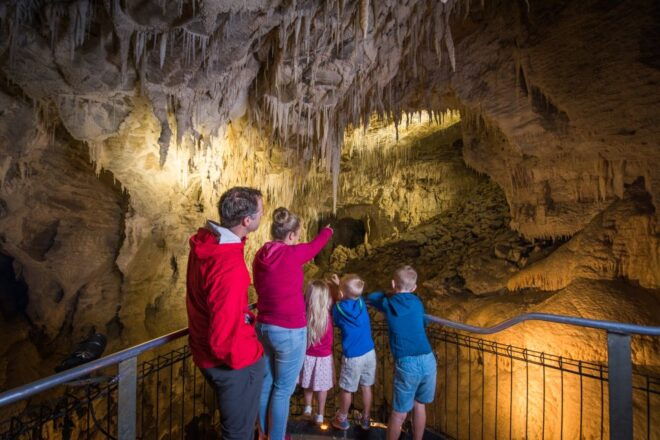 Waitomo: Ruakuri Cave 1.5 Hour Guided Tour - Location and Accessibility