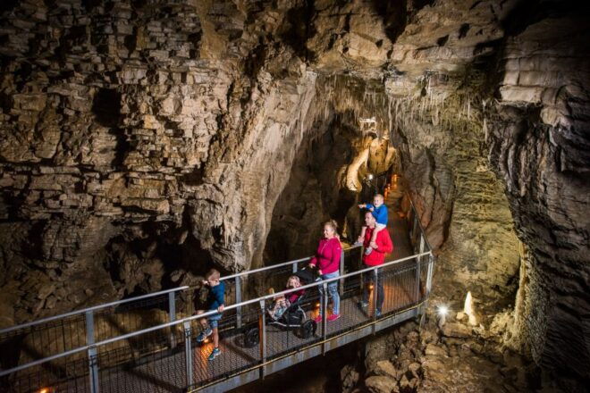 Waitomo: Ruakuri Cave 1.5 Hour Guided Tour - Related Activities