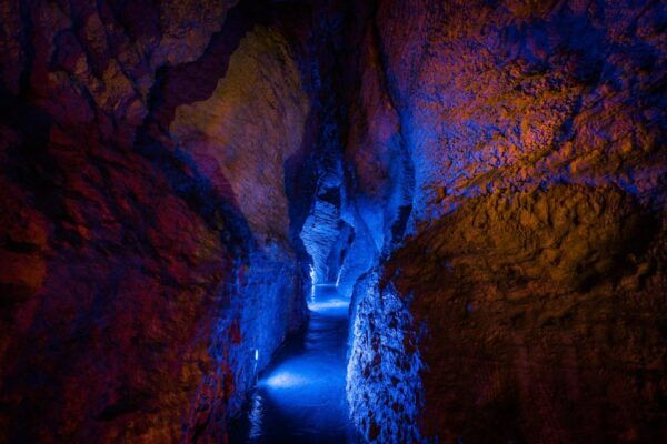 Waitomo: Ruakuri Cave 1.5 Hour Guided Tour - The Sum Up