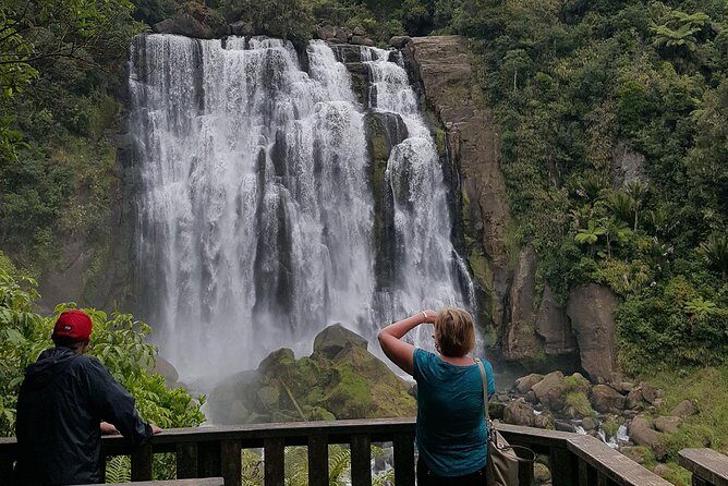 Waitomo & The King Country Exclusive Luxury Day Tour from Auckland - Authentic Insights from Recent Reviews