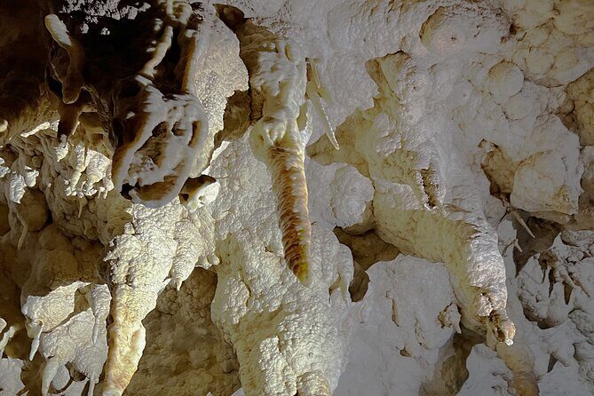 WAITOMO - Twin Caves Discovery - Private Day Tour from Auckland - Who is This Tour Best Suited For?