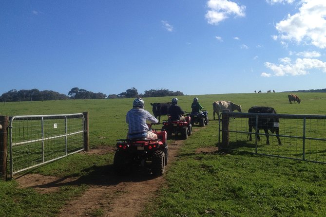 Waitpinga Farm Quad Bike Adventure Tour - Booking and Availability