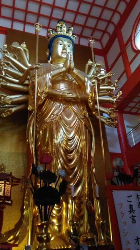 Wakayama: Around Wakaura Area Walking Tour with Local Guide - Good To Know