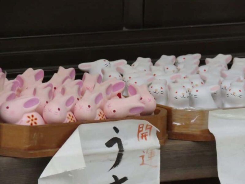 Wakayama: Around Wakaura Area Walking Tour with Local Guide - FAQ