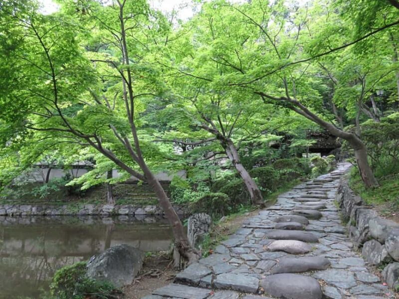 Wakayama: Castle Park Guided Walking Tour with Matcha - Exploring Wakayama Castle Park: A Historic and Natural Blend