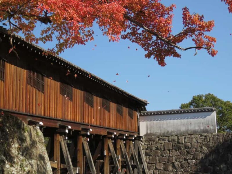 Wakayama: Castle Park Guided Walking Tour with Matcha - Sipping Matcha in a Traditional Teahouse