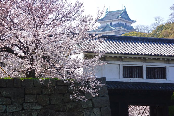 Wakayama Castle Town Walking Tour - Questions and Additional Information