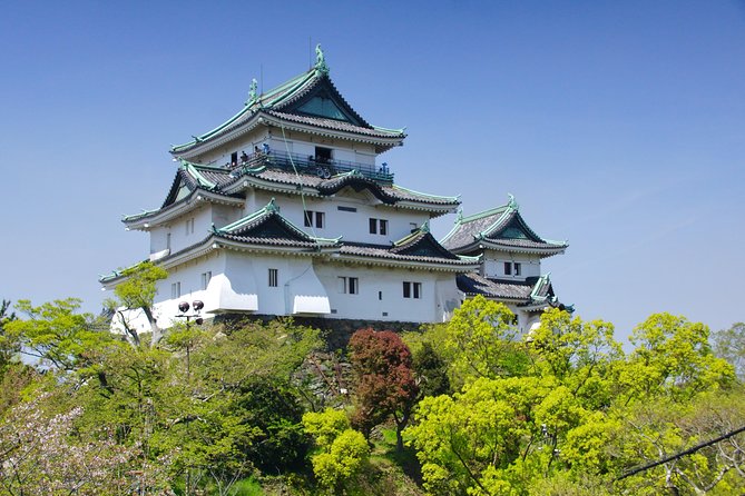 Wakayama Castle Town Walking Tour - Common Questions