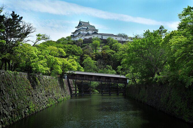 Wakayama Castle Walk A Short Guided Experience - Inspecting the Itinerary and Experience