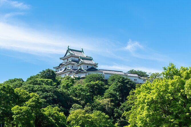 Wakayama Castle Walk A Short Guided Experience - What to Expect from the Wakayama Castle Walk