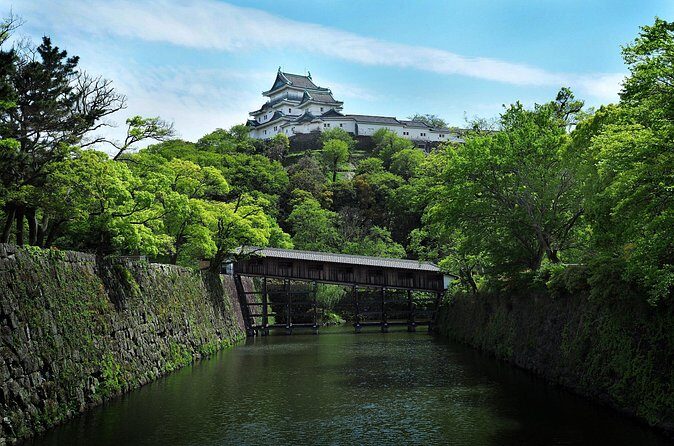 Wakayama Castle Walk A Short Guided Experience - Frequently Asked Questions