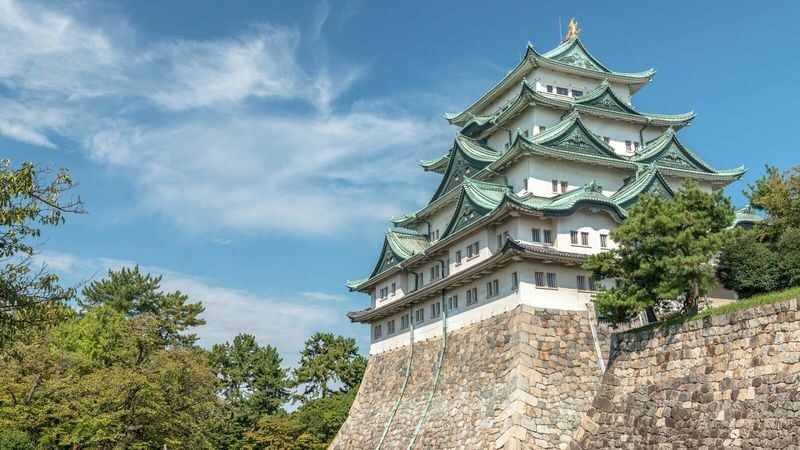 Wakayama Castle x Kuroshio Market x Nara Deer Park x Todai-ji - From Osaka to Wakayama Castle