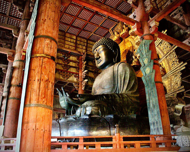 Wakayama Castle x Kuroshio Market x Nara Deer Park x Todai-ji - Nara’s deer and Todai-ji’s great wooden hall