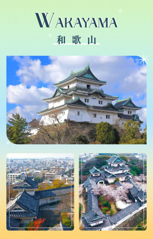 Wakayama Castle x Kuroshio Market x Nara Deer Park x Todai-ji - Who should choose this trip?