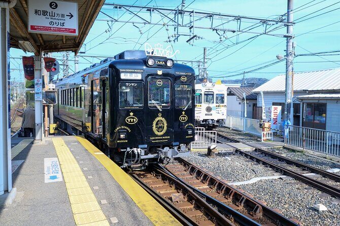 Wakayama: Cat Stationmaster Adventure on the Kishigawa Line - Good To Know
