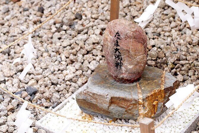 Wakayama: Cat Stationmaster Adventure on the Kishigawa Line - The Sum Up