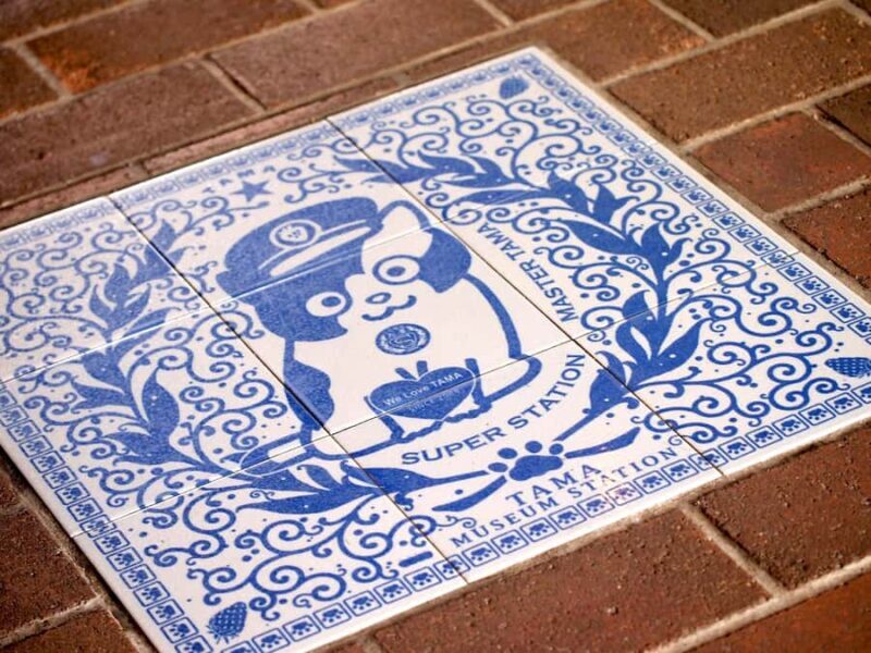 Wakayama: Cat Stationmaster Adventure on the Kishigawa Line - The Itinerary in Detail: What You Can Expect