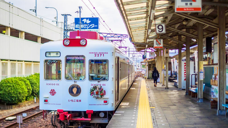 Wakayama Cat Stationmaster Kishi Station Train Experience & Kuroshio Market & Rinku Premium Outlets or Transfer to Kansai Airport - Cat Stationmaster, Small Station, and Included Train Ride