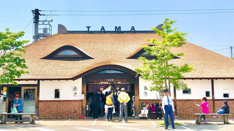 Wakayama Cat Stationmaster Kishi Station Train Experience & Kuroshio Market & Rinku Premium Outlets or Transfer to Kansai Airport - What the Day’s Pace Means for You