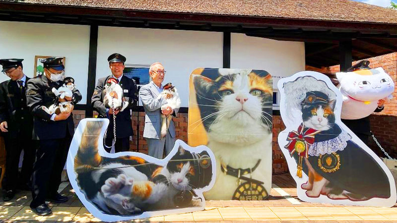Wakayama Cat Stationmaster Kishi Station Train Experience & Kuroshio Market & Rinku Premium Outlets or Transfer to Kansai Airport - Is This Day Trip Worth the Fare?
