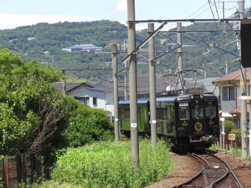 Wakayama: Cat Stationmasters and Local Myths, Train Tour - Good To Know