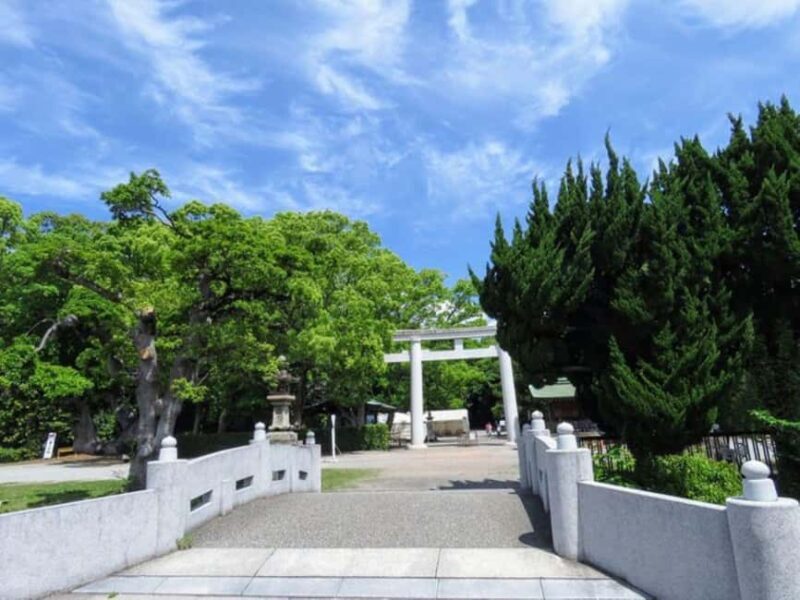 Wakayama: Cat Stationmasters and Local Myths, Train Tour - Who Should Consider This Tour?