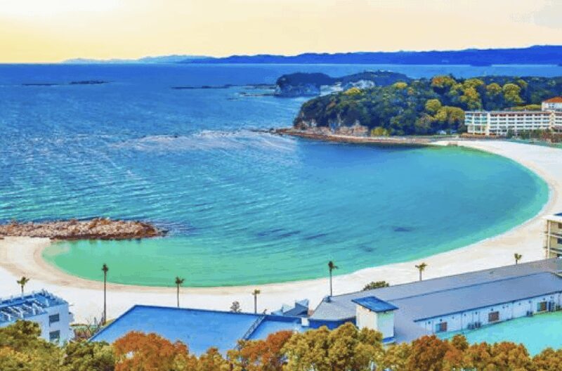 Wakayama: Customizable Private Day Tour - Exploring Wakayama: A Private Day Tour Worth Considering