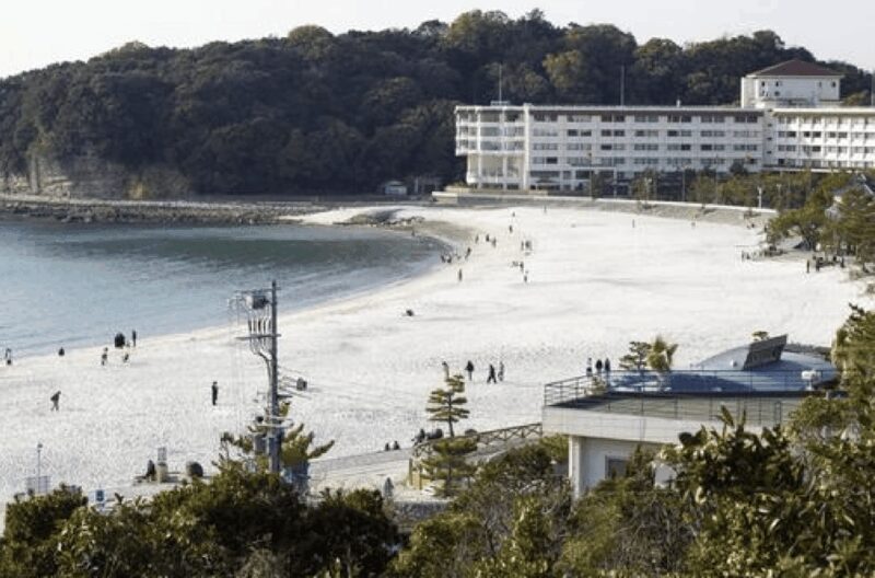 Wakayama: Customizable Private Day Tour - Why This Tour Is a Great Choice