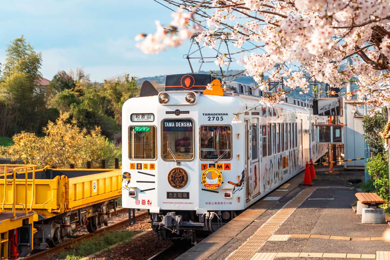 Wakayama Day Trip: Cat Stationmaster Kishi Station Train Experience, Tuna Cutting Show, Shirahama Onsen, Senjojiki Sandanbeki (Round trip from Osaka) - A cat-themed train ride at Kishi Station