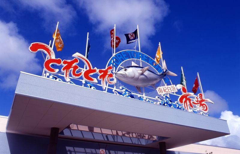 Wakayama Day Trip: Cat Stationmaster Kishi Station Train Experience, Tuna Cutting Show, Shirahama Onsen, Senjojiki Sandanbeki (Round trip from Osaka) - Is the $55.59 starting price good value?