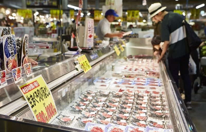 Wakayama Day Trip: Cat Stationmaster Kishi Station Train Experience, Tuna Cutting Show, Shirahama Onsen, Senjojiki Sandanbeki (Round trip from Osaka) - Who should book this Wakayama day trip?